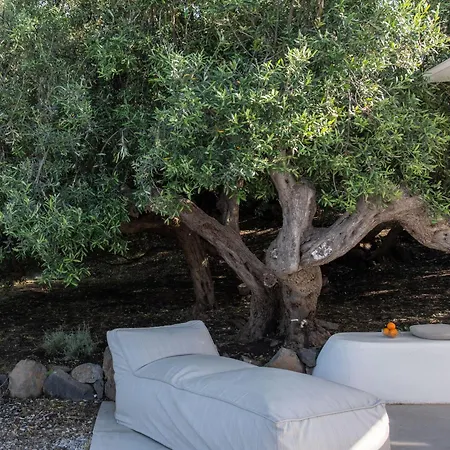 Guest house Vico San Lorenzo - A Salina
